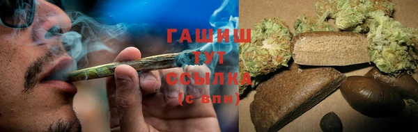 стафф Вязьма