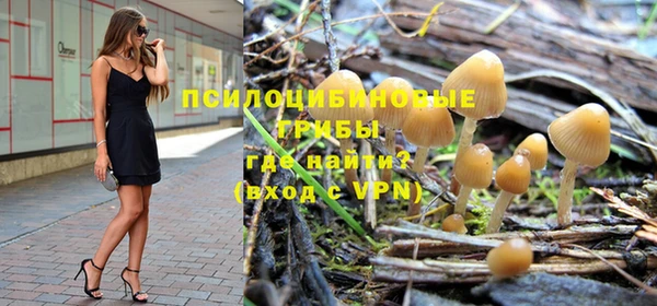 стафф Вязьма