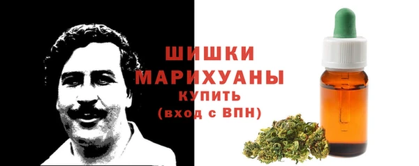 стафф Вязьма