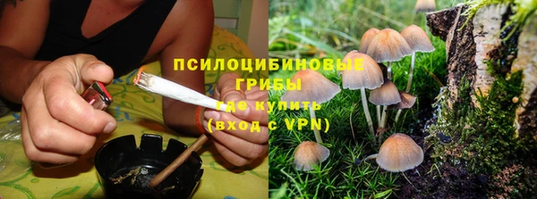 стафф Вязьма