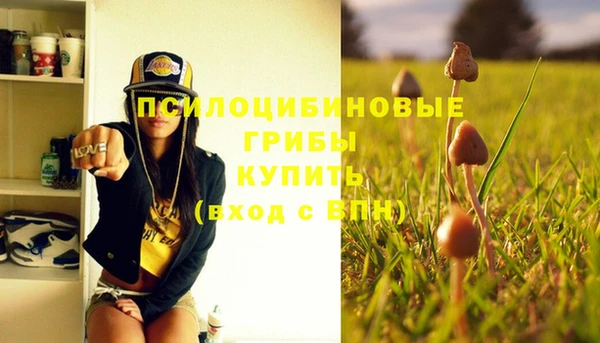 стафф Вязьма